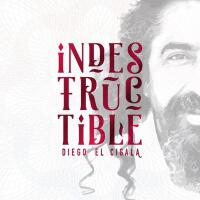 Diego el Cigala