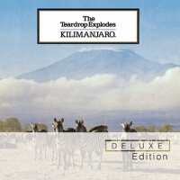 Kilimanjaro