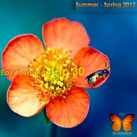 Easy Summer Top 30 Summer - Spring 專輯_Digital RainEasy Summer Top 30 Summer - Spring 最新專輯