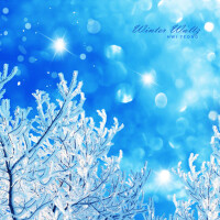 겨울 왈츠 (Winter Waltz)