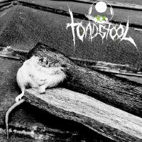 Toadstool歌曲歌詞大全_Toadstool最新歌曲歌詞