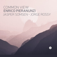 Common View專輯_Enrico PieranunziCommon View最新專輯