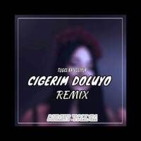 Ciğerim Doluyor (Remix)專輯_Tuğçe KandemirCiğerim Doluyor (Remix)最新專輯