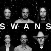 Swans圖片照片_Swans