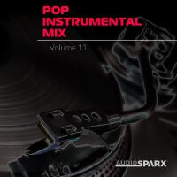 Pop Instrumental Mix Volume 11