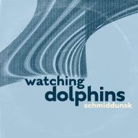 Watching Dolphins