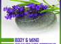 Body & Mind Rejuvenate Sessions: Massage Therapy, Wellness & Soft Touch, Yoga Meditations, Moments o專輯_Spa Music ParadiseBody & Mind Rejuvenate Sessions: Massage Therapy, Wellness & Soft Touch, Yoga Meditations, Moments o最新專輯