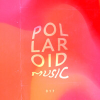 Polaroid Music, Vol. 017