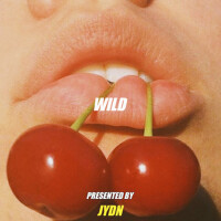 Wild專輯_JYDNWild最新專輯