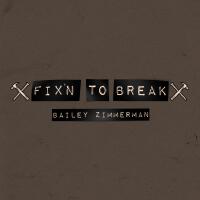 Fix'n To Break