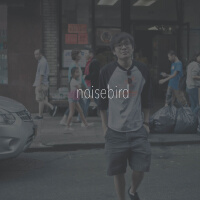 Noisebird圖片照片