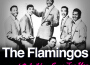 The Flamingos歌曲歌詞大全_The Flamingos最新歌曲歌詞