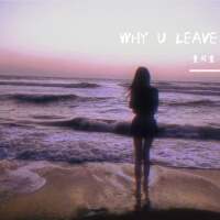 WHY U LEAVE