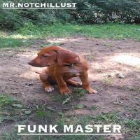 FUNK MASTER