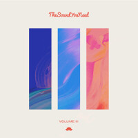 TheSoundYouNeed, Vol. 3專輯_MedasinTheSoundYouNeed, Vol. 3最新專輯