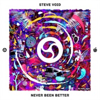 Never Been Better專輯_Steve VoidNever Been Better最新專輯