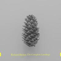 The Complete Landings專輯_Richard SkeltonThe Complete Landings最新專輯