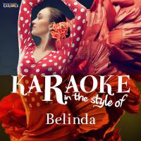 Karaoke - In the Style of Belinda
