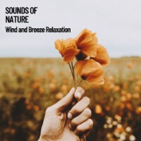 Sounds of Nature Relaxation