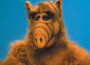 Alf