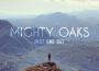 Mighty Oaks