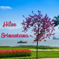 Hilse Srivastava歌曲歌詞大全_Hilse Srivastava最新歌曲歌詞