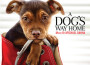 A Dog's Way Home (Original Motion Picture Soun專輯_Mychael DannaA Dog's Way Home (Original Motion Picture Soun最新專輯