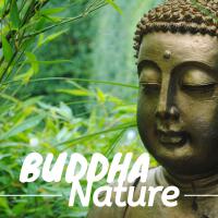 Buddha Nature: 25 Relaxing Tracks for Meditation & Yoga