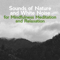 Sounds of Nature White Noise for Mindfulness Meditation and Relaxation歌曲歌詞大全_Sounds of Nature White Noise for Mindfulness Meditation and Relaxation最新歌曲歌詞