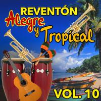 Reventón Alegre y Tropical (VOL 10)專輯_Nelson Y Sus EstrellReventón Alegre y Tropical (VOL 10)最新專輯