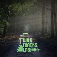 Wildtracks Lab歌曲歌詞大全_Wildtracks Lab最新歌曲歌詞