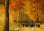 Acoustic Guitar Tribute Players