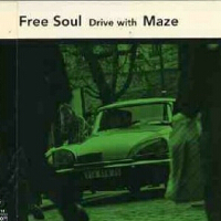 Free Soul: Drive With Maze