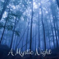 A Mystic Night專輯_Yoga TribeA Mystic Night最新專輯