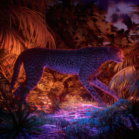 Guépard