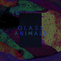 Black Mambo / Exxus專輯_Glass AnimalsBlack Mambo / Exxus最新專輯