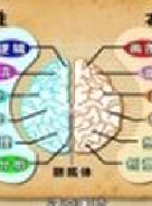 養生堂最新一期線上看_全集完整版高清線上看 - 蟲蟲綜藝