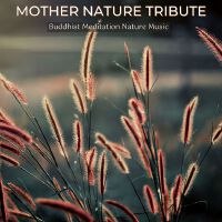 Mother Nature Tribute: Buddhist Meditation Nature Music