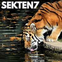 Sekten7歌曲歌詞大全_Sekten7最新歌曲歌詞