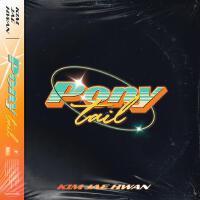 Ponytail專輯_金在煥Ponytail最新專輯