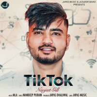 TIK TOK專輯_Navjeet GillTIK TOK最新專輯