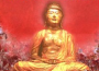 Buddha Bar, Vol. 8專輯_Orient ExpressionsBuddha Bar, Vol. 8最新專輯