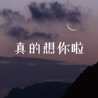 真的想你啦