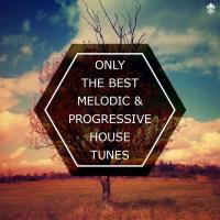 Only The Best Melodic & Progressive House Tunes專輯_PokerOnly The Best Melodic & Progressive House Tunes最新專輯