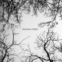 Random Forest專輯_Random ForestRandom Forest最新專輯