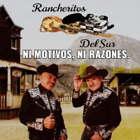 Rancheritos del Sur歌曲歌詞大全_Rancheritos del Sur最新歌曲歌詞