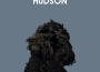 Hudson專輯_Soothing Dog SoundsHudson最新專輯