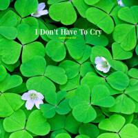 I Don't Have To Cry (I Do not Have To Cry)專輯_슬픈날개I Don't Have To Cry (I Do not Have To Cry)最新專輯