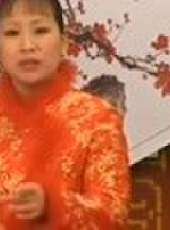 河南墜子 郭永章 戲曲 曲藝 民間藝術 魯南梆子 馬街說書最新一期線上看_全集完整版高清線上看 - 蟲蟲綜藝