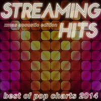 Streaming Hits - Best of Pop Charts  (Xmas Acoustic Edition)專輯_Kenny JonsonStreaming Hits - Best of Pop Charts  (Xmas Acoustic Edition)最新專輯